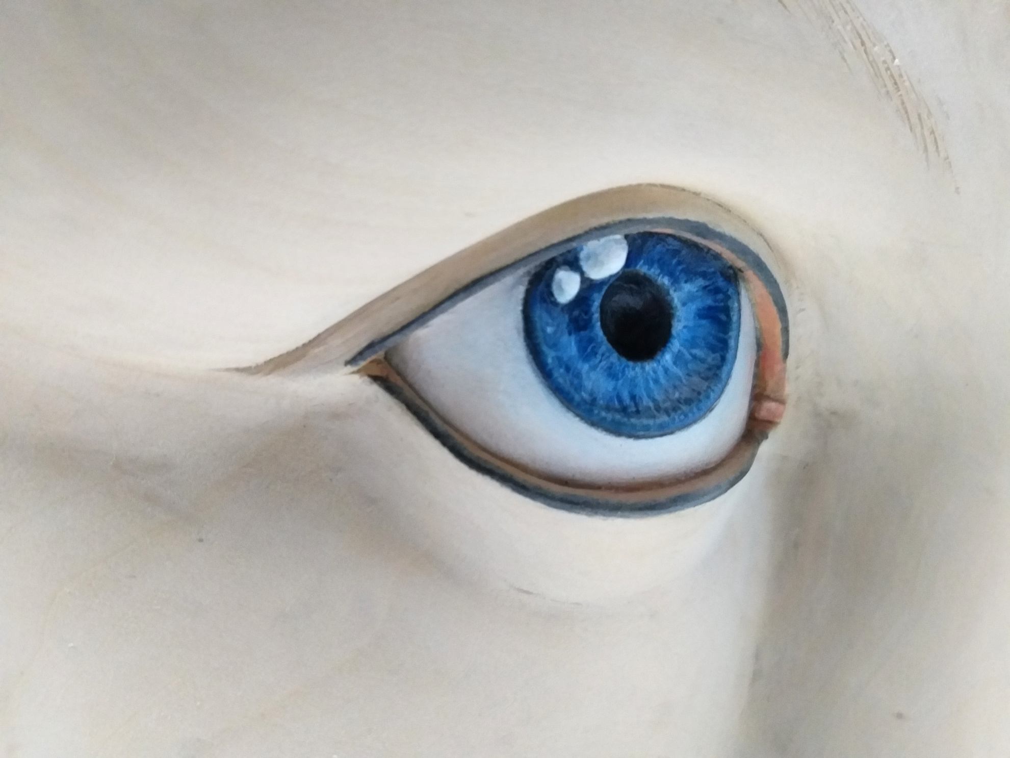 Wood Carving A Human Eyes