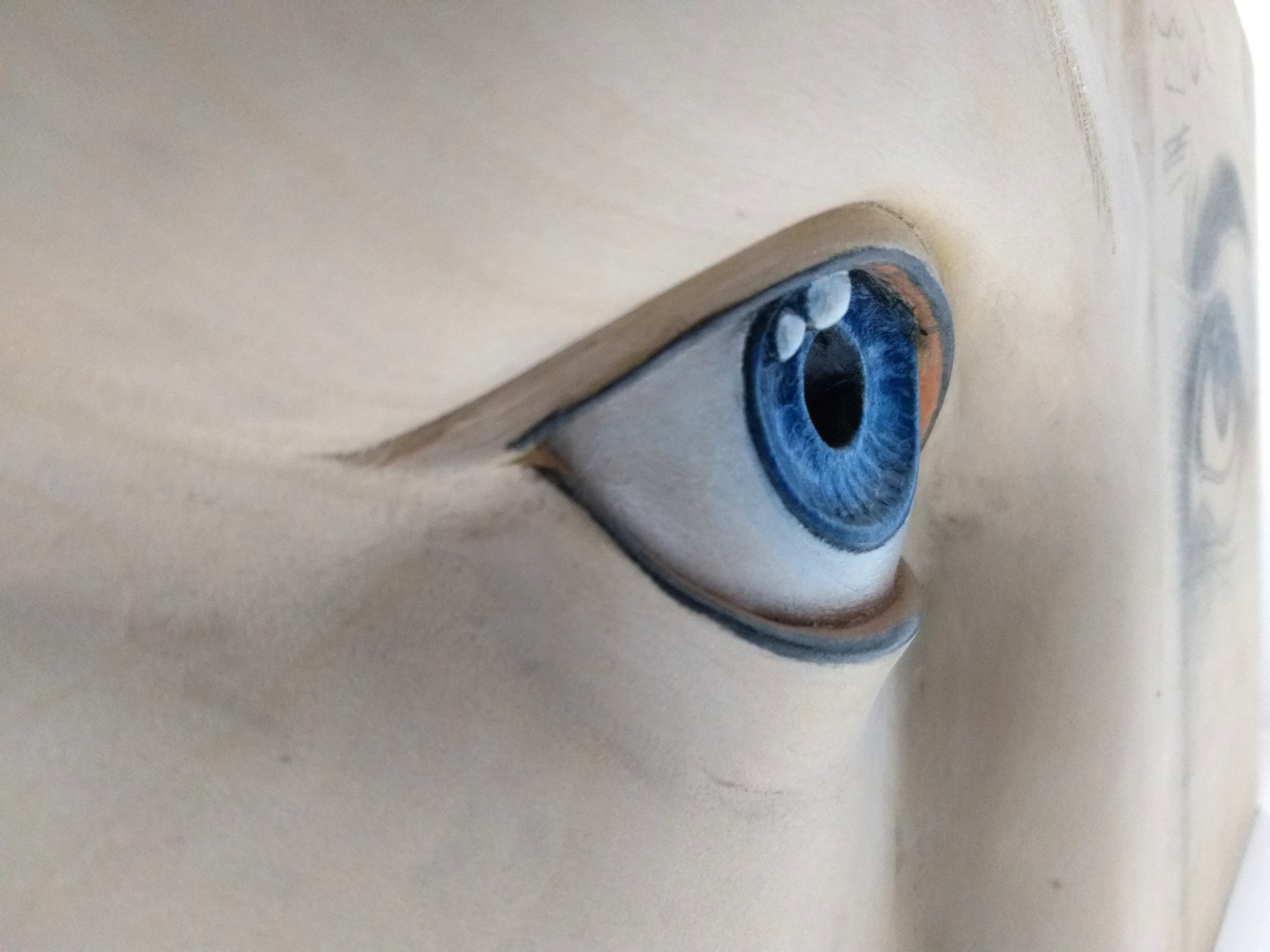 Carving Realistic Eyes in Wood